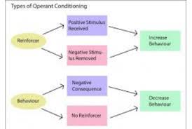 operant conditioning psych in my life