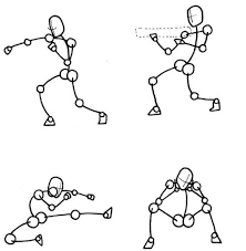 Pin On Anatomy