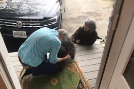 Roberts reportedly collapsed at home following a walk with her dogs on christmas eve, a rep for roberts told tmz. F7kxbd1nzm5qhm