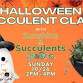 Halloween Succulent Class! event image