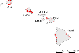 Discover the best of manokwari so you can plan your trip right. Negative Impacts Of Invasive Predators Used As Biological Control Agents Against The Pest Snail Lissachatina Fulica The Snail Euglandina Rosea And The Flatworm Platydemus Manokwari Springerlink