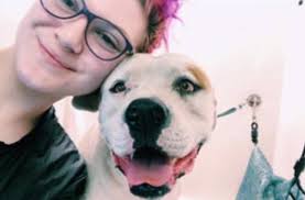 Check spelling or type a new query. Dog Grooming School Pet Grooming Services