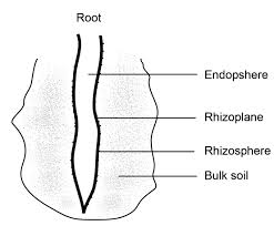 Maybe you would like to learn more about one of these? 2