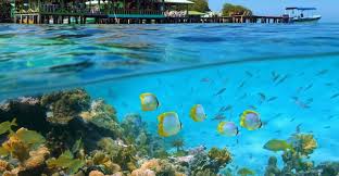 #2 best value of 408 places to stay in punta cana. Turismo En Punta Cana Viajes Guia De Punta Cana 101viajes