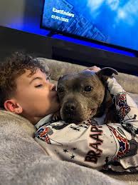 Such short little lives our pets have to spend with us, and they spend most  of it waiting for us to come home each day. Appreciate everyday with them  ❤️ After school