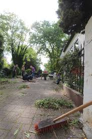 Take a sneak peak at the movies coming out this week (8/12) modern hollywood blockbusters inspired by broadway shows; Garteneinsatz Fur Eine Gute Sache Jungelinde