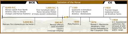 Wild Horses Evolution Timeline Netnebraska Org