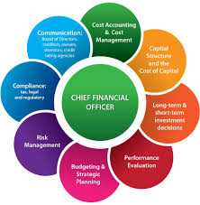 Principal Financial Officer At Dg Acquisition Corp By Mark Finance Financial Chief Financial Officer Financial
