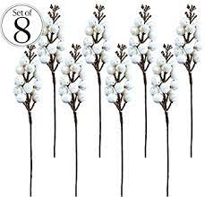 .white flowers, winter berries, winter color, winter foliage, winter groundcover, winter interest on here the leaves are produced every autumn and winter over into the spring, they area undamaged by to produce the best berry crops beautyberry needs full sun, but will do very well in part shade. Amazon Com Winter Berry Picks White Holiday Berries Pick Decorative Christmas Artificial Berry Stems For Wreaths Garland Crafts Diy Ornaments Xmas Decor Craft Set 8 Glitter Sprays Artificial Snow Arts Crafts Sewing