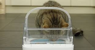 surefeed microchip futterautomat pet feeder pet care pets
