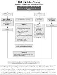 Antinuclear Antibody Ana With Hep 2 Substrate Test Fact Sheet