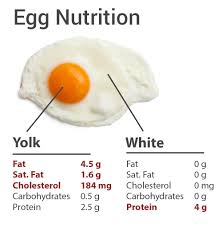 Egg White Vs Egg Yolk Nutrition Facts In 2019 Egg White