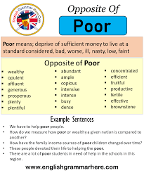 Opposite Of Poor Antonyms Of Poor Meaning And Example Sentences English Grammar Here 1 stupid 2 lazy 3 arrogant 4 quiet 5 lively 6 rude. opposite of poor antonyms of poor