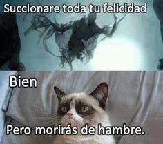 Imagenes Que Si Tienes Un Humor Muy Simple Y Las Entiendes Te Haran Reir Por Meses Es La Moda Humo Funny Memes Super Funny Memes Harry Potter Memes Espanol