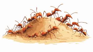Page 5 | Soldier ants Vectors ...