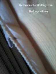 Top reasons to stay at chicago's essex inn. Bed Bug Complaint Registry Pg4