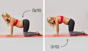 Cat and cow are a famous duo in the prenatal yoga world. Pin On Prego Yoga