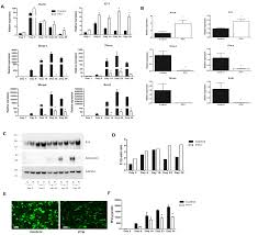 Ex:28983 mins = 20 days 21 hrs. Plos One Parathyroid Hormone Induces Bone Cell Motility And Loss Of Mature Osteocyte Phenotype Through L Calcium Channel Dependent And Independent Mechanisms