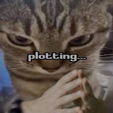 Plotting Memes