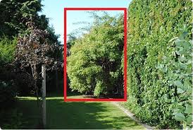 Image result for site:byggahus.se klippa