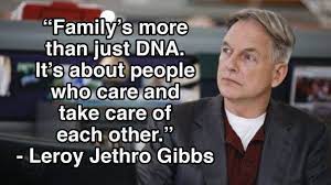 For Fans Of Mark Harmon Ncis Funny Ncis Tv Quotes