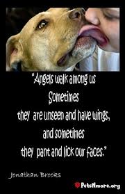 Mine Doesn T Lick My Face But She Can Really Pant And Cuddle Dogs Dog Quotes Pitbulls