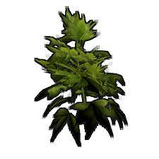 Use the axe to chop it into small, manageable pieces. Hemp Clone Rust Wiki Fandom