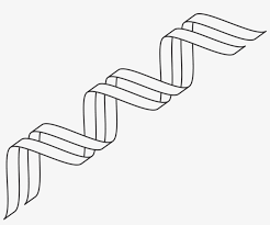 These are the questions on the worksheet we did in class. Gene Outline Dna Icon Dna Icon Double Helix Genetic Genetics Dna Outline Transparent Png 1280x1005 Free Download On Nicepng