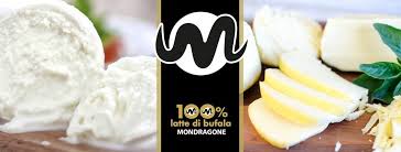 T +39 02 89420174 contact@miglioreservetto.com press@miglioreservetto.com job@miglioreservetto.com. Caseificio Migliore Rosa Home Facebook