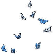 Customize your avatar with the ~blue~ aesthetic butterfly and millions of other items. Butterfly Blue Aesthetic Babyblue Sticker By Xio