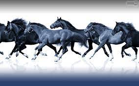 Horse 7 hd desktop background was posted on january 17, 2018. 7 Horse Running Wallpaper
