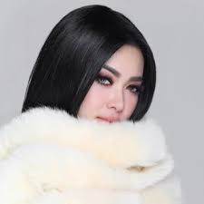 Album perdana syahrini adalah my lovely yang dirilis pada 2008. Princess Syahrini Statistics On Twitter Followers Socialbakers