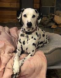 Missing in Canada added a new photo —... - Missing in Canada