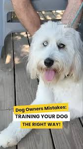 Canine Coaching With Chris