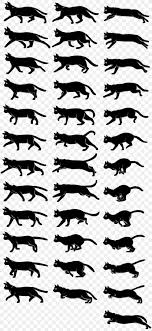 Huge collection, amazing choice, 100+ million high quality, affordable rf and rm images. Walk Cycle Animation Cat Drawing Walking Png 1196x2591px Walk Cycle Animation Animator Area Art Download Free