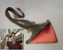 Google The Pelican Eel Eurypharynx Pelecanoides Is A Deep Sea Fish Rarely Seen By Humans Though They Are Oc Weird Creatures Deep Sea Creatures Ocean Animals