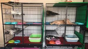Lot 203, tingkat 1, jalan pengkalan chepa,15400 kota bharu, kelantan. Wanz Petshop Kuantan Pengedar Psherbs