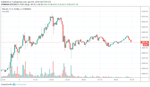 The bitcoin price today is $50,666 usd with a 24 hour trading volume of $34.59b usd. Coinbase Fees Btc To Usd Bitcoin Stock Chart 2019 Mdg Flowers