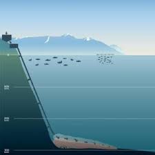 Maybe you would like to learn more about one of these? Deep Sea Tailings Disposal Dstd Dosi