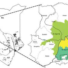 Image result for Sopubia eminii