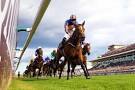 Image result for Rheingold won the Arc France Images