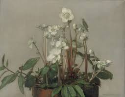 christmas roses 1935 by jan bogaerts dutch 1878 1962 oil on canvas 35 x 45 cm flower painting floral painting painting