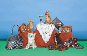 Check spelling or type a new query. Louis Vuitton X Grace Coddington Fashion Editorial Wonderland