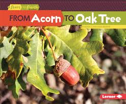 Check spelling or type a new query. From Acorn To Oak Tree Start To Finish Second Carlson Berne Emma 9781512434408 Amazon Com Books