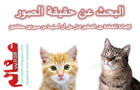 التأكد من صحة الصور عن طريق فحصها بصري ا علامات أو آمارات الصور الملفقة بالفوتوشوب وغيره Blog Posts Blog Lie