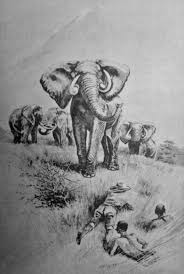 Imperial Hunting ...