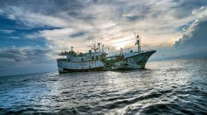 Check spelling or type a new query. Renewed Global Parliamentary Support For The Protection Of The Ocean Actualites Evenements