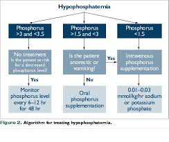 Here are seven methods to help control high levels of phosphorus: Hypophosphatemia Vetfolio