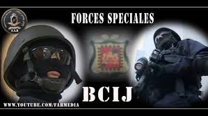 Find & download free graphic resources for logo. Arrestation Par Le Bcij De Deux Jihadistes Presumes A Oulad Tayma Et Fes Barlamane