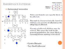 The strict rules that the future queen had to follow were called the kensington system. P Edigree A Nalysis Have You Ever Seen A Family Tree Do You Have One Graphic Representation Of Family Inheritance Pedigree Of Queen Victoria Ppt Download